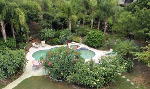 Heron Cay Lakeview Bed & Breakfast Bed and Breakfast in Mount Dora