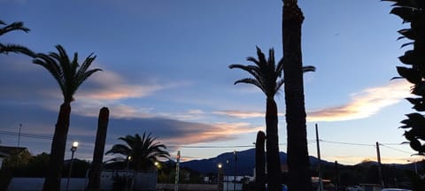 Garden view, Sunset