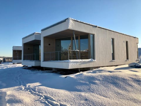 Property building, Winter