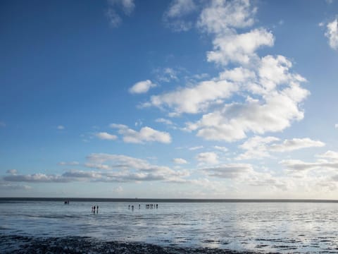 Natural landscape, Activities, Beach, Hiking, group of guests