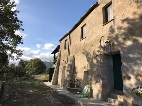 Property building, Street view