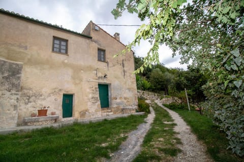 Property building, Garden, Garden view