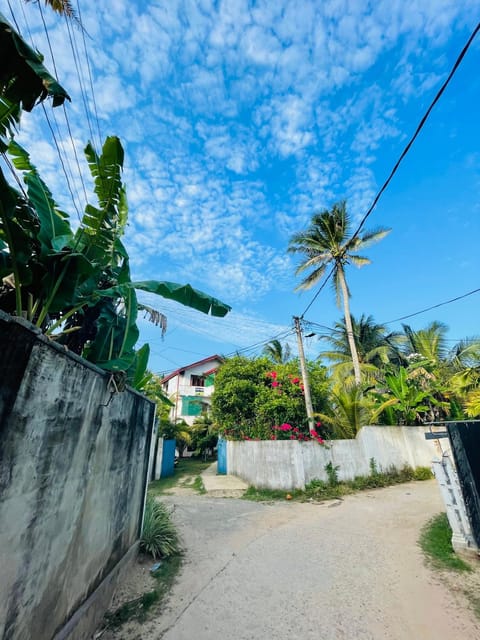 Day, Natural landscape, Garden view