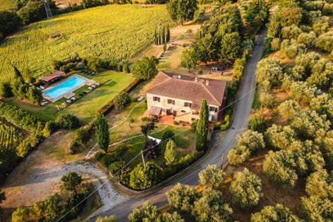 Bird's eye view, Garden view