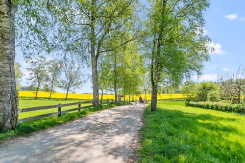 Natural landscape