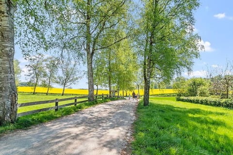 Spring, Natural landscape, Garden, Garden view