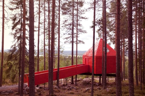Treehotel Lodge nature in Lapland