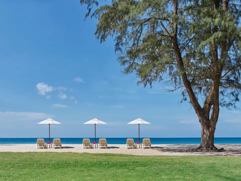 Natural landscape, Beach, Sea view, Family