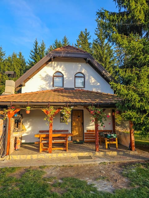 Property building, Day, Garden view