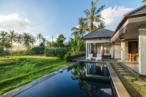 Natural landscape, Swimming pool