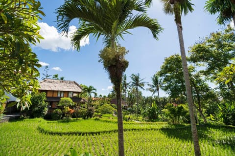 Property building, Garden