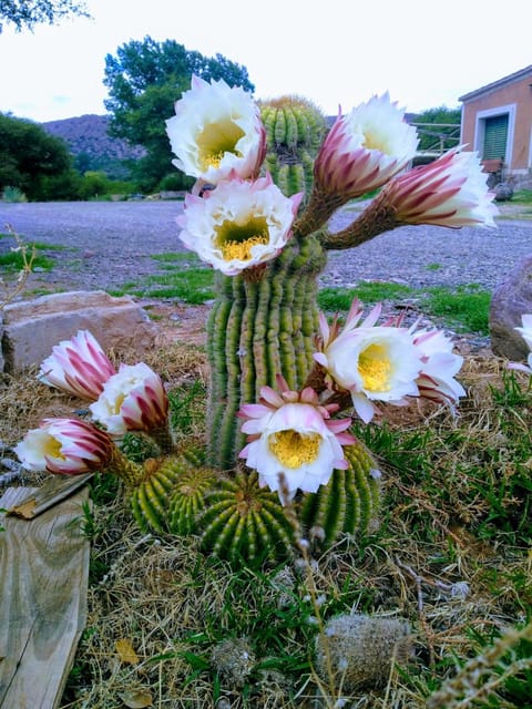 El Churqui Nature lodge in Jujuy Province, Argentina