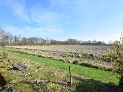 Spacious Mansion with Meadow View in Bruinisse Haus in Bruinisse