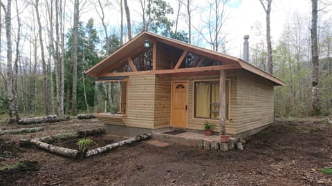 Parcela Traitraico, Coñaripe House in Los Ríos, Chile