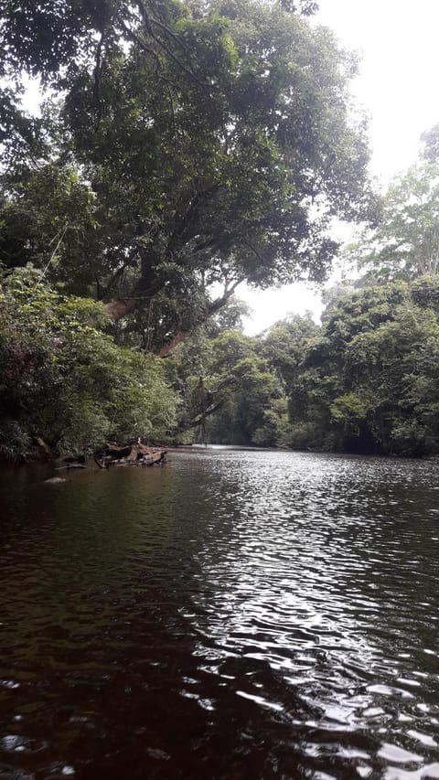 Canopy Inn Bed and Breakfast in Terengganu, Malaysia