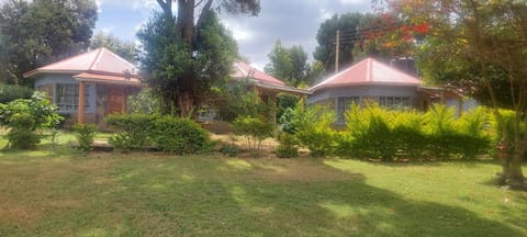 Property building, Spring, Day, Natural landscape, Garden, Garden view