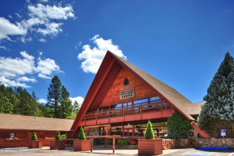 Kohl's Ranch Lodge Nature lodge in Kohls Ranch