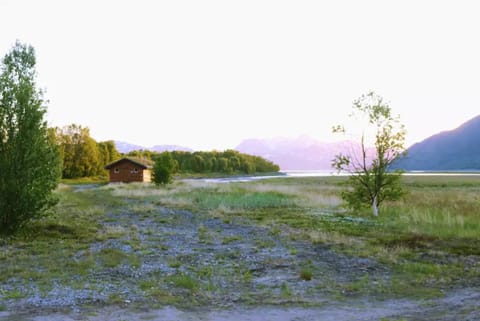 Natural landscape, Garden, Hiking, River view