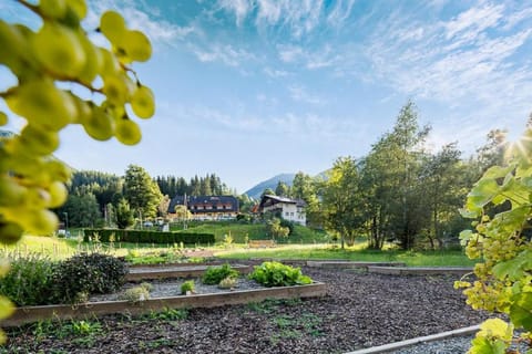 Chalet Ferienhaus Hubertus Hotel in Schladming