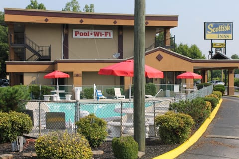 Pool view, Swimming pool