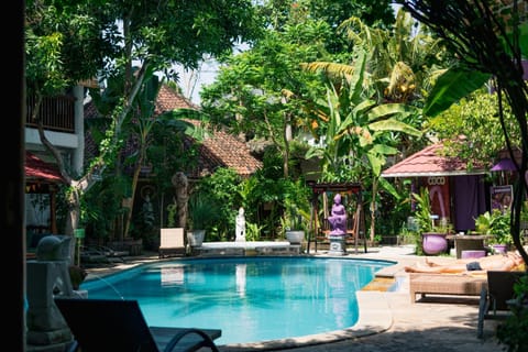 Pool view, Swimming pool