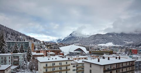 Property building, Day, Natural landscape, Winter, View (from property/room), Balcony/Terrace, Banquet/Function facilities, City view, Mountain view