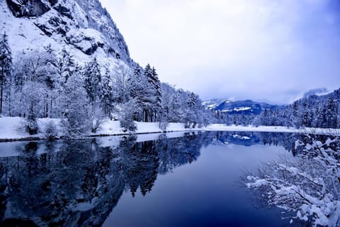 Ferienlounge Bluntausee Apartment in Salzburgerland