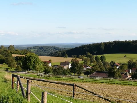 FeWo Darsberg Wohnung in Hesse