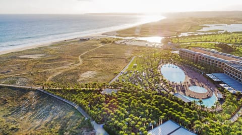 Bird's eye view, Beach