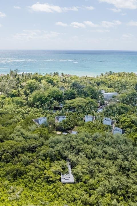 Property building, Day, Natural landscape, Bird's eye view, Beach