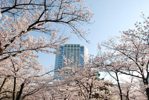 The Prince Park Tower Tokyo - Preferred Hotels & Resorts, LVX Collection Hotel in Kanagawa Prefecture