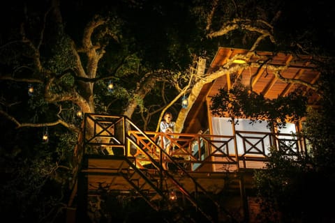 Leopard Nest - Glamping in Yala Luxury tent in Southern Province