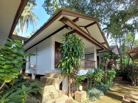 Property building, Day, Garden