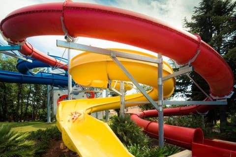 Activities, Area and facilities