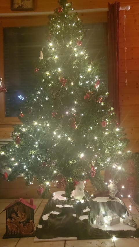 Grand Chalet House in Bourgogne-Franche-Comté