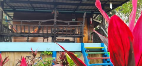 Wooden Hut Koh Kood Bed and Breakfast in Trat Changwat