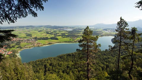 Nearby landmark, Natural landscape, Bird's eye view, Hiking