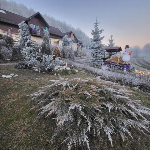 Dumbrava Ursului Hotel in Brașov County