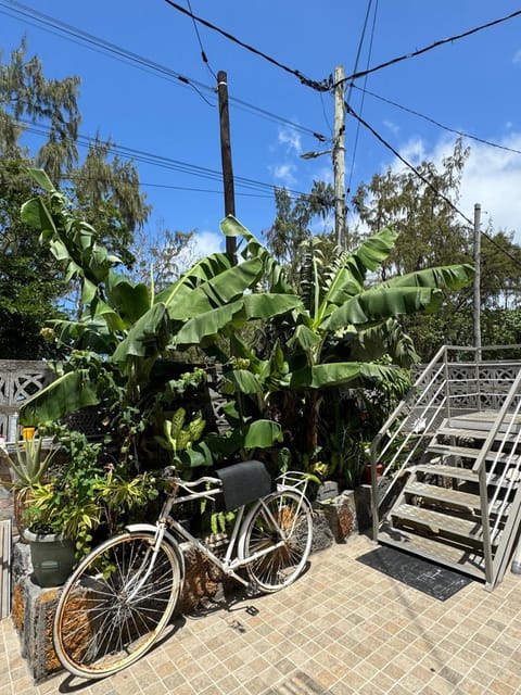 JN sunflower residence Bed and Breakfast in Rivière Noire District, Mauritius