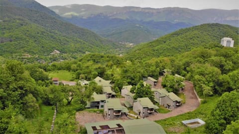 Dilijan Park Resort & Villas Resort in Azerbaijan