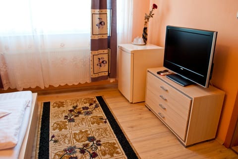 Pensiunea Vlad Bed and Breakfast in Timisoara