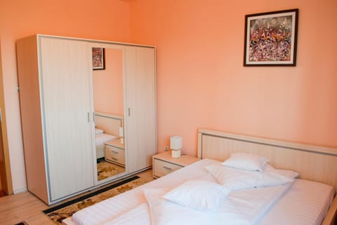 Pensiunea Vlad Bed and Breakfast in Timisoara