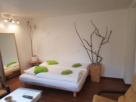 Zvezdica Apartment in Ljubljana