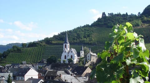 Haus Weihertor Eigentumswohnung in Graach an der Mosel