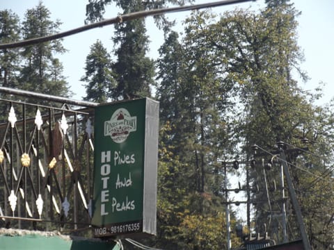 Pines and Peaks Hotel Hotel in Himachal Pradesh