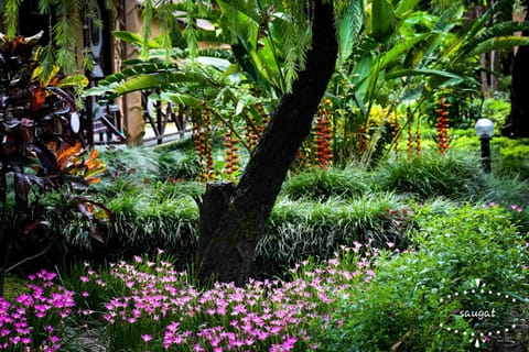 Garden, Garden view