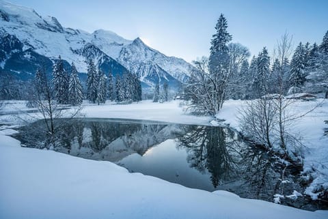 Natural landscape, Winter