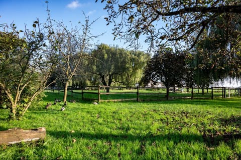 Agri Village Pavia Campground/
RV Resort in Lombardy