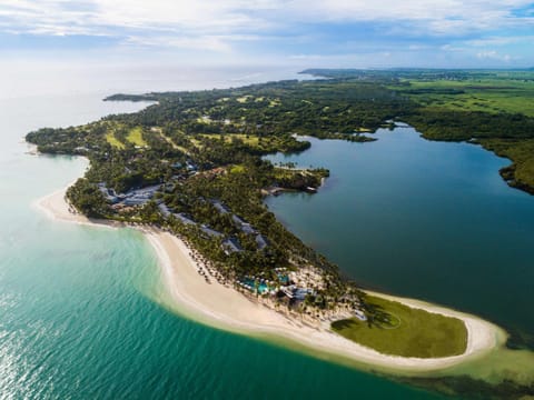 Natural landscape, Bird's eye view, Beach