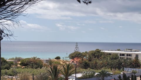 OurMadeira - Villa Mary, informal, close to the beach Casa in Madeira District